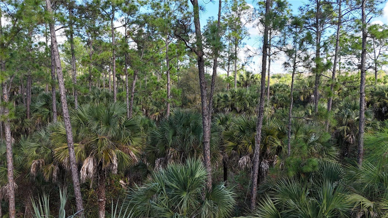 16TH AVE SE, NAPLES, FL — photo 3