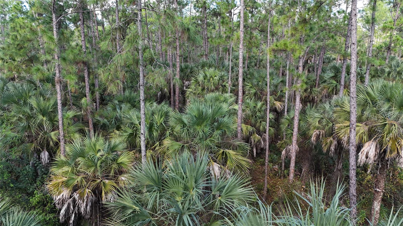 16TH AVE SE, NAPLES, FL — photo 4