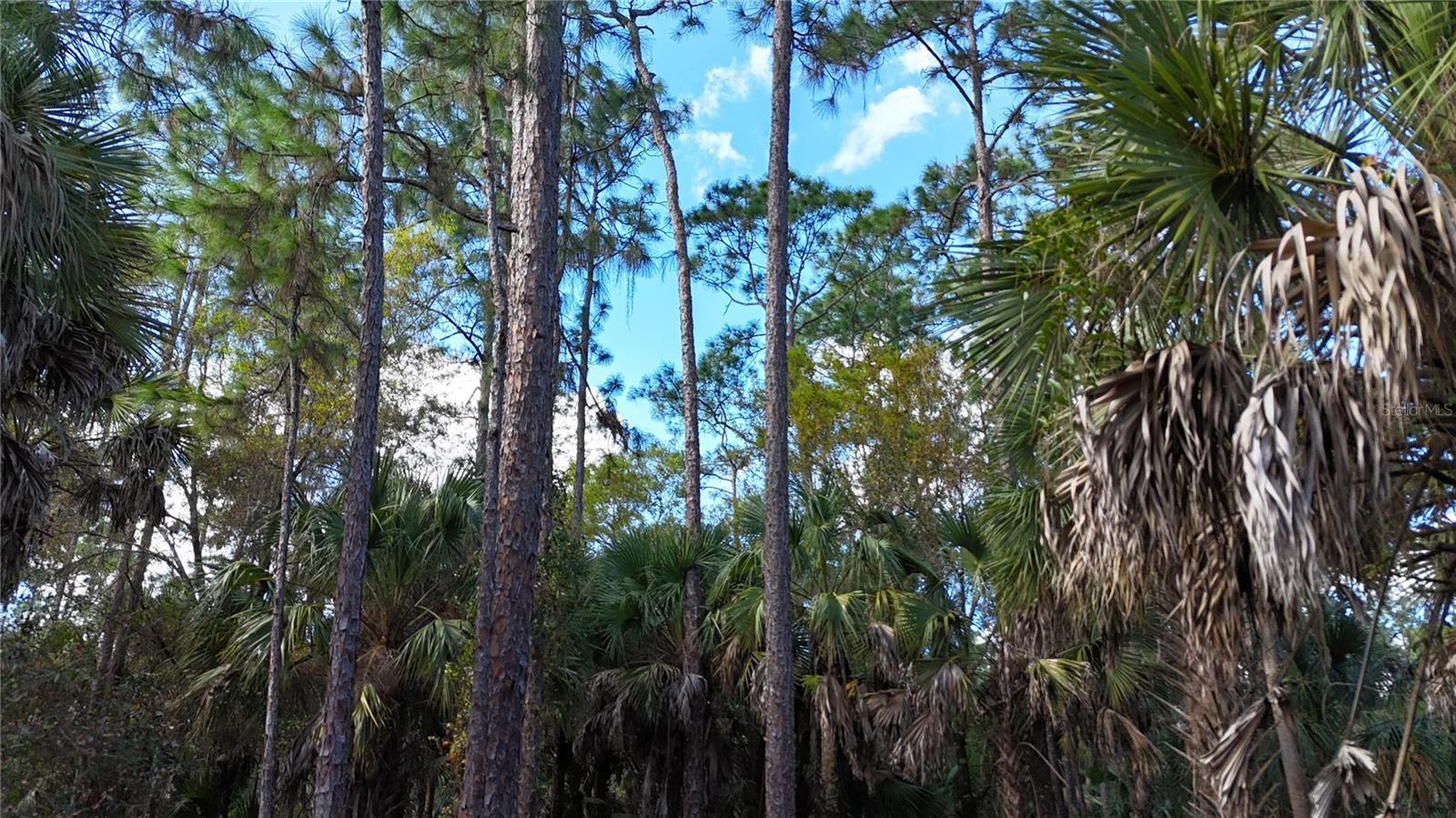 16TH AVE SE, NAPLES, FL — photo 5