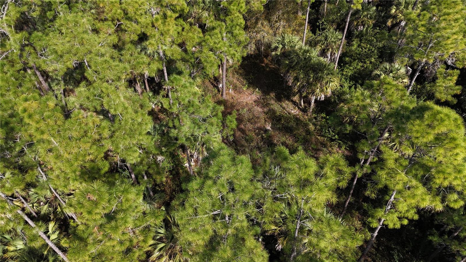 16TH AVE SE, NAPLES, FL — photo 7
