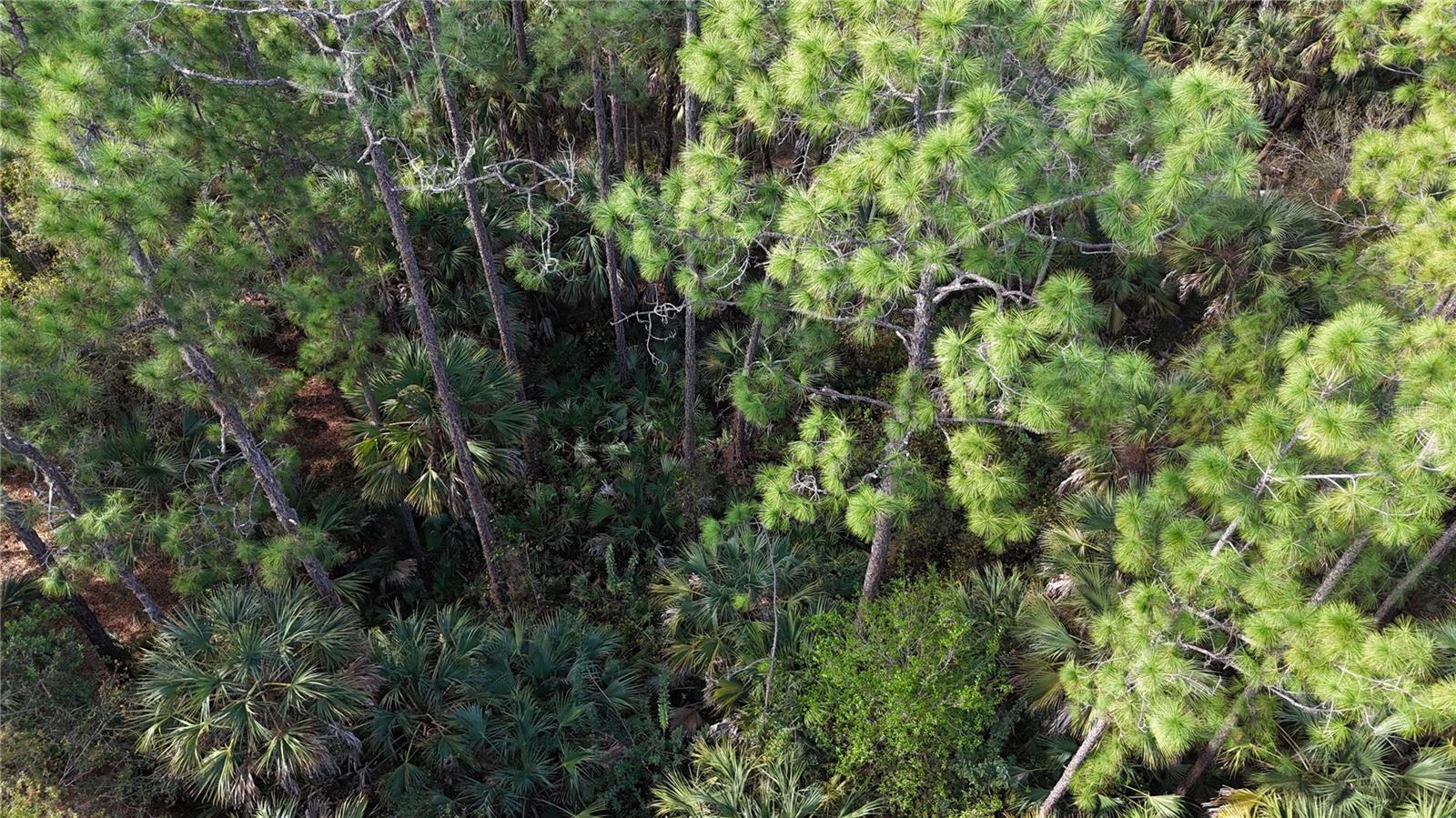 16TH AVE SE, NAPLES, FL — photo 21