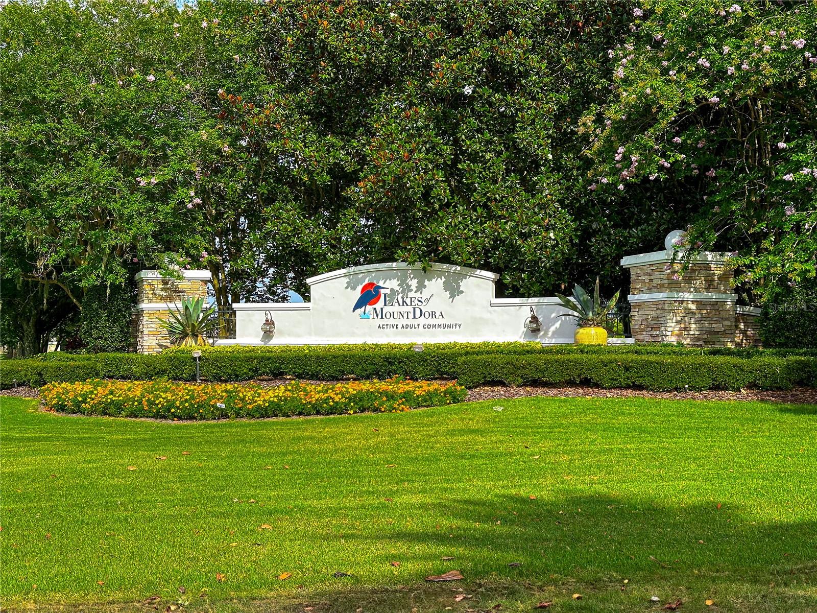 8045 WATERBURY WAY, MOUNT DORA, FL — photo 73