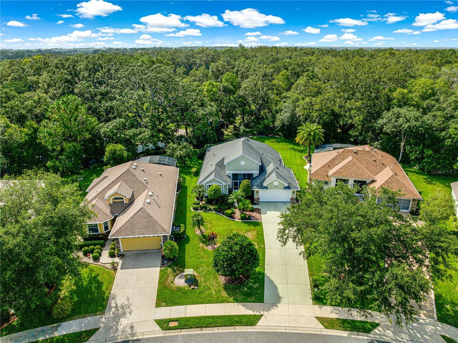 8045 WATERBURY WAY, MOUNT DORA, FL — photo 76