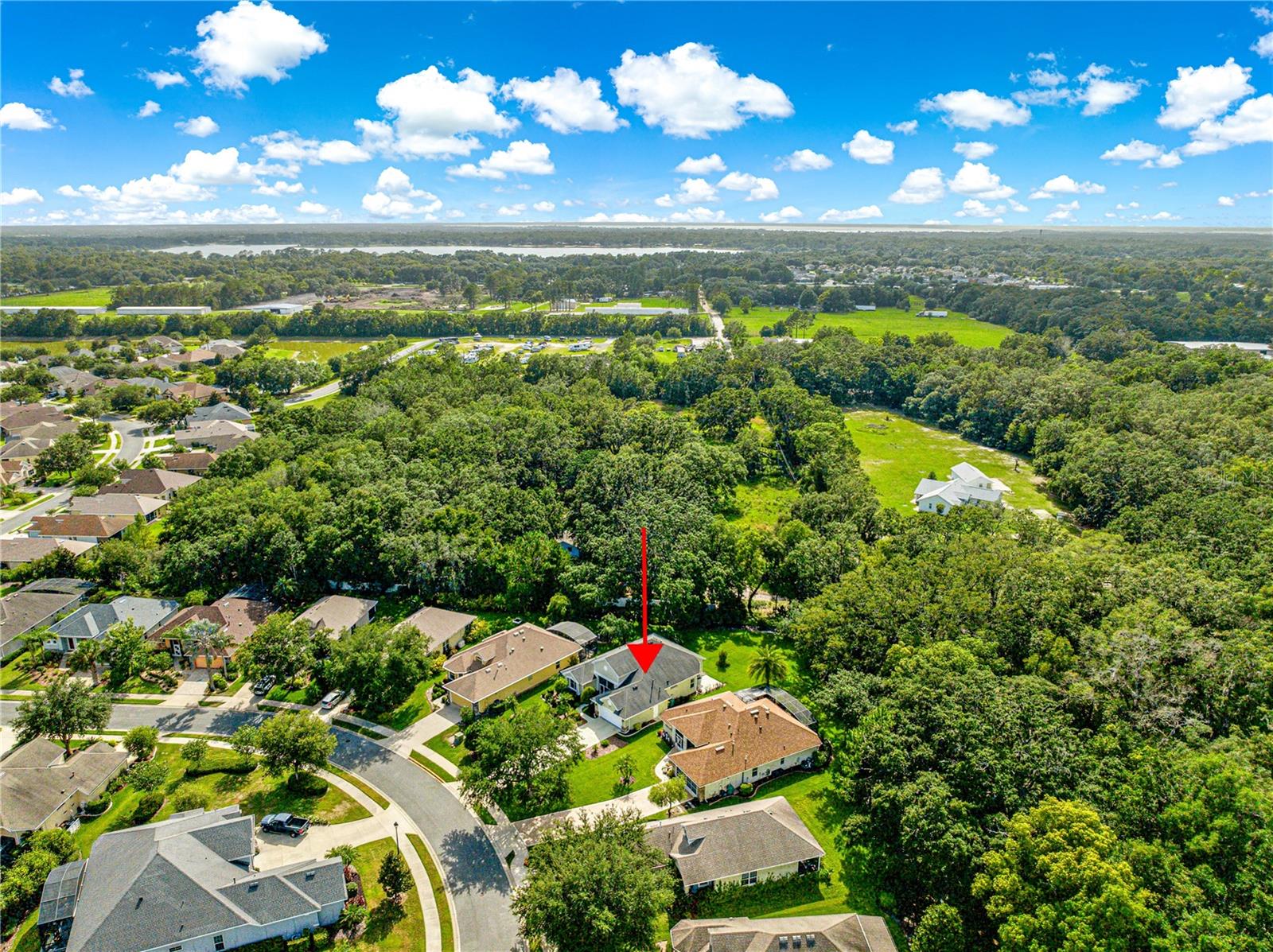 8045 WATERBURY WAY, MOUNT DORA, FL — photo 77