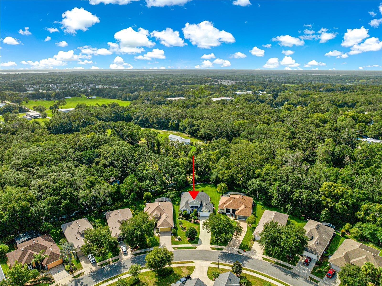 8045 WATERBURY WAY, MOUNT DORA, FL — photo 80