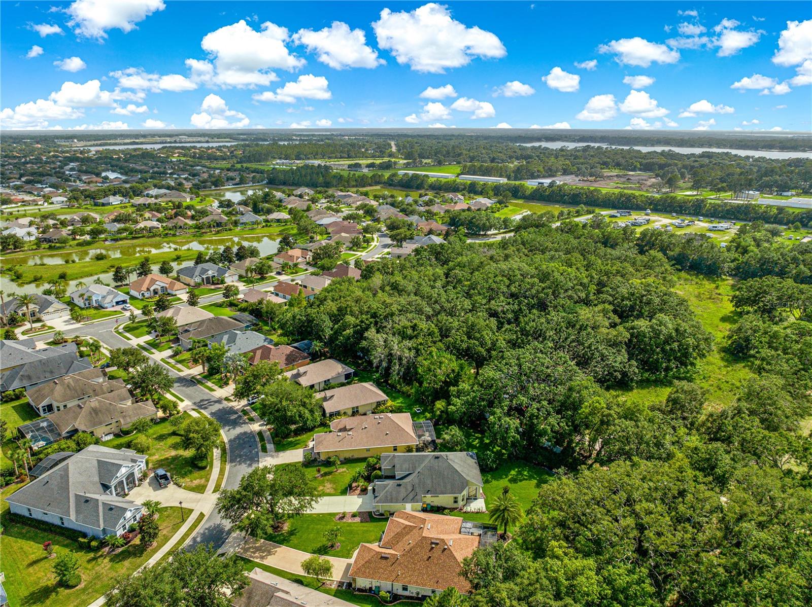 8045 WATERBURY WAY, MOUNT DORA, FL — photo 82