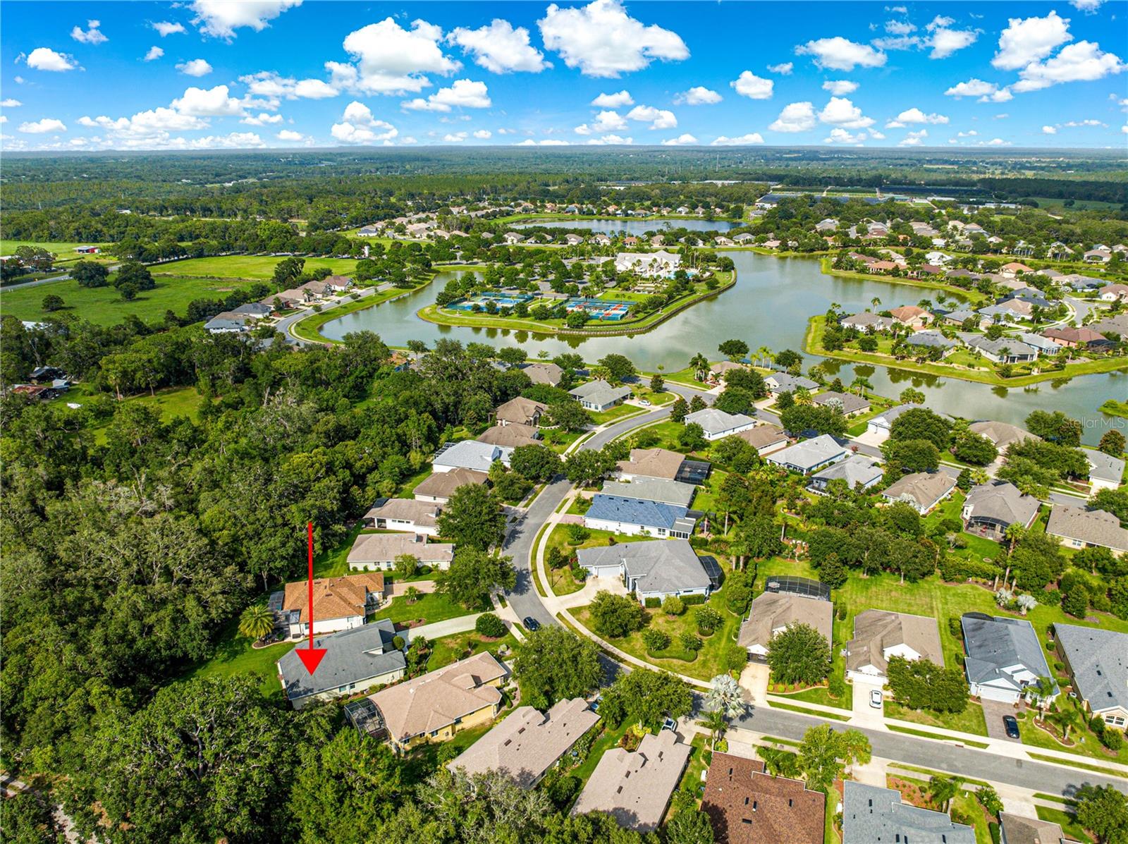 8045 WATERBURY WAY, MOUNT DORA, FL — photo 88