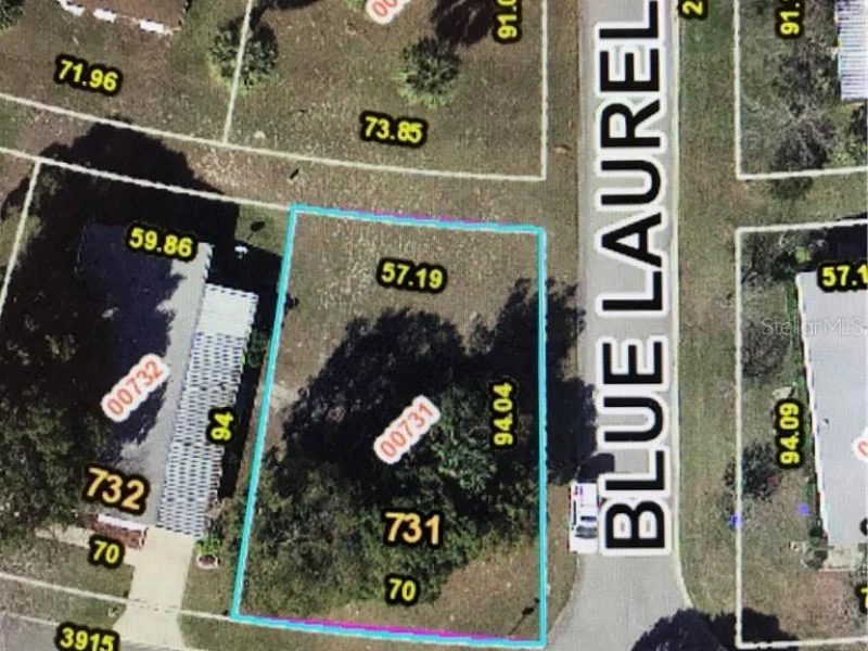 3907 COHEN DR #731, ZELLWOOD, FL