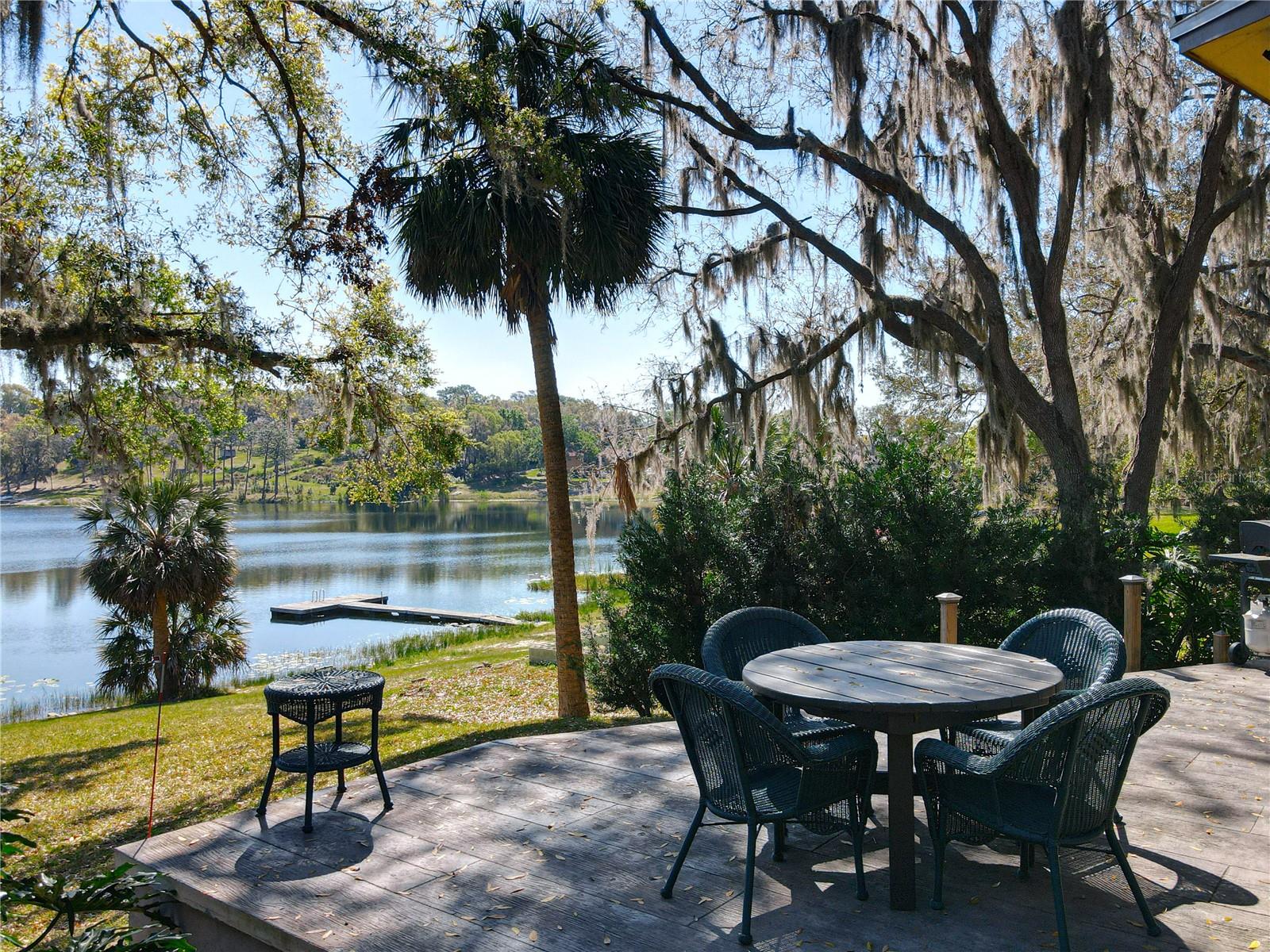 1617 LAKE NETTIE CT, EUSTIS, FL — photo 111