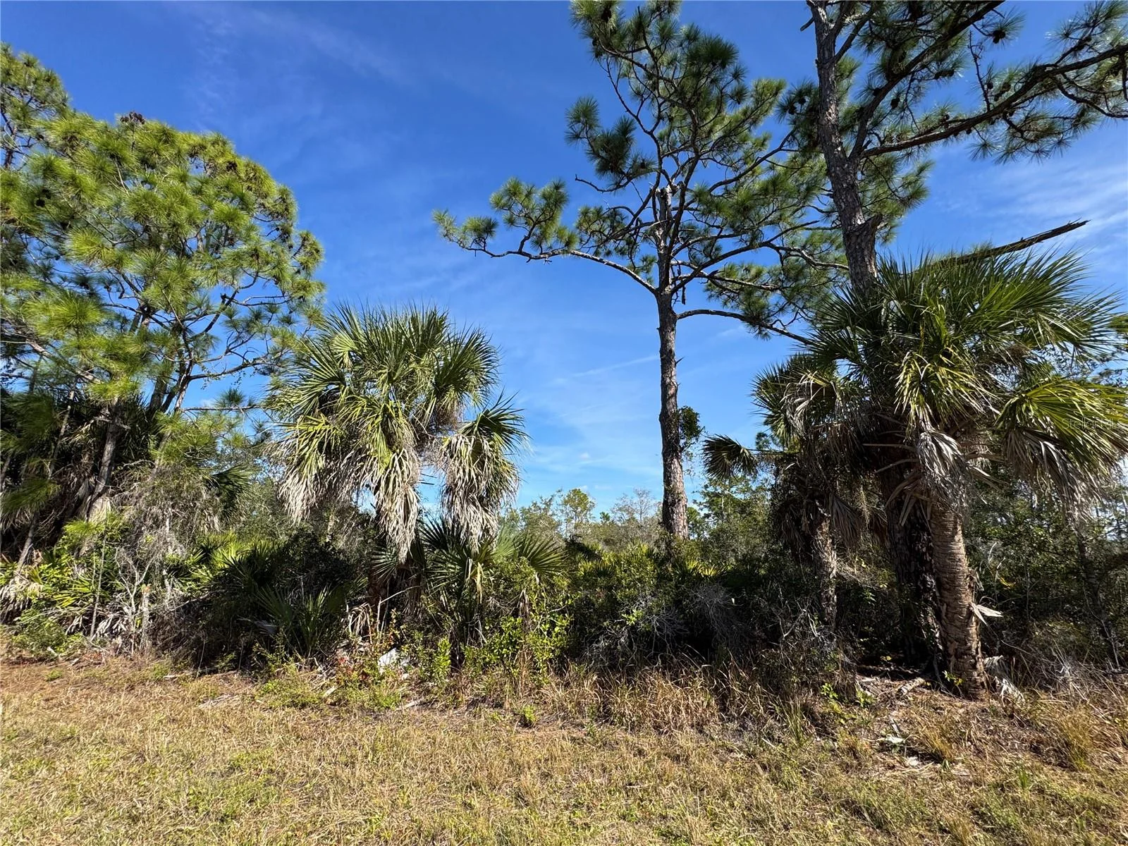 3110 GILLOT BLVD, PORT CHARLOTTE, FL — photo 2