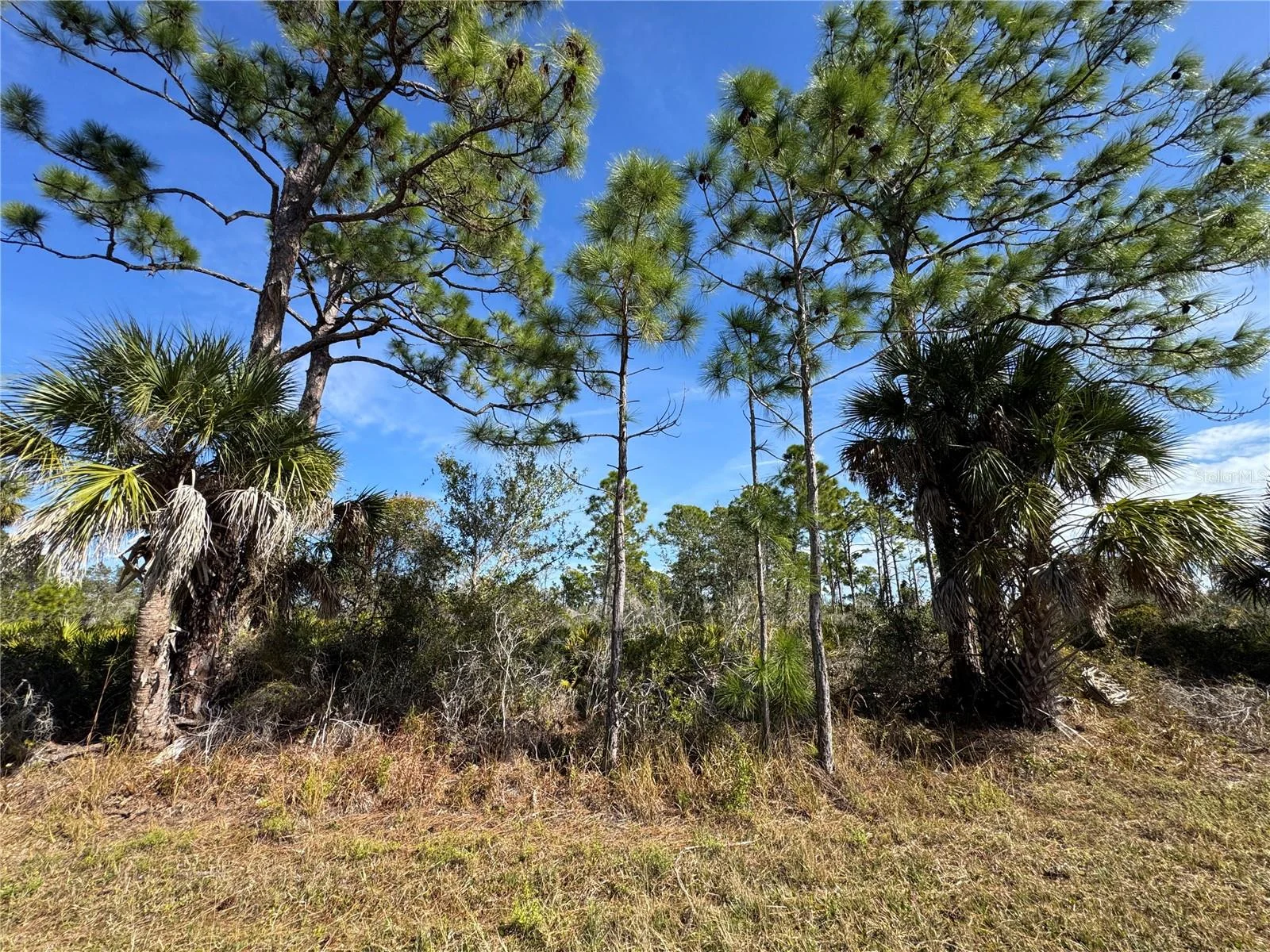 3110 GILLOT BLVD, PORT CHARLOTTE, FL — photo 3