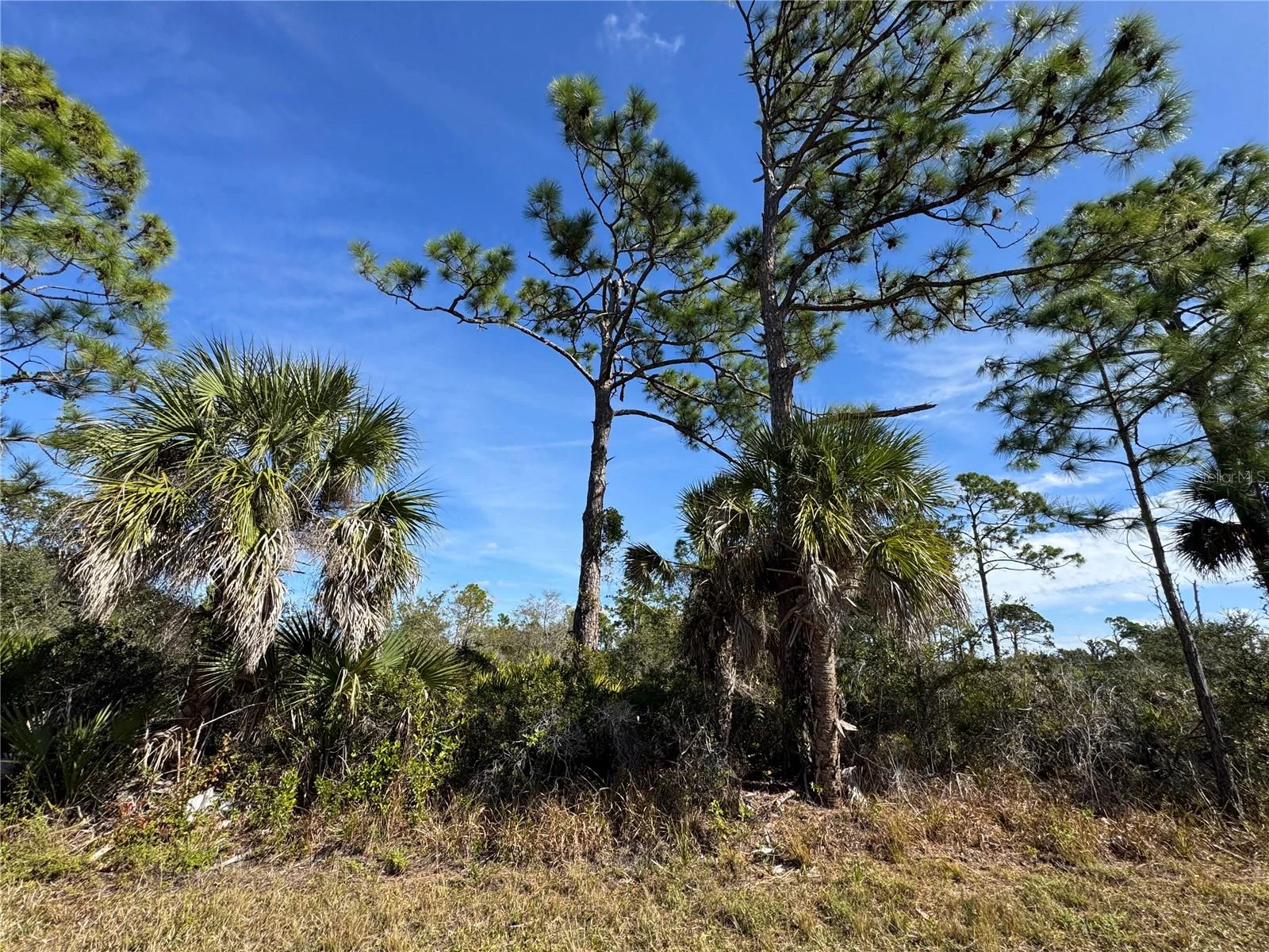 3110 GILLOT BLVD, PORT CHARLOTTE, FL — photo 4