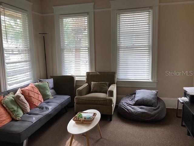 806 W DE LEON ST, TAMPA, FL — photo 11