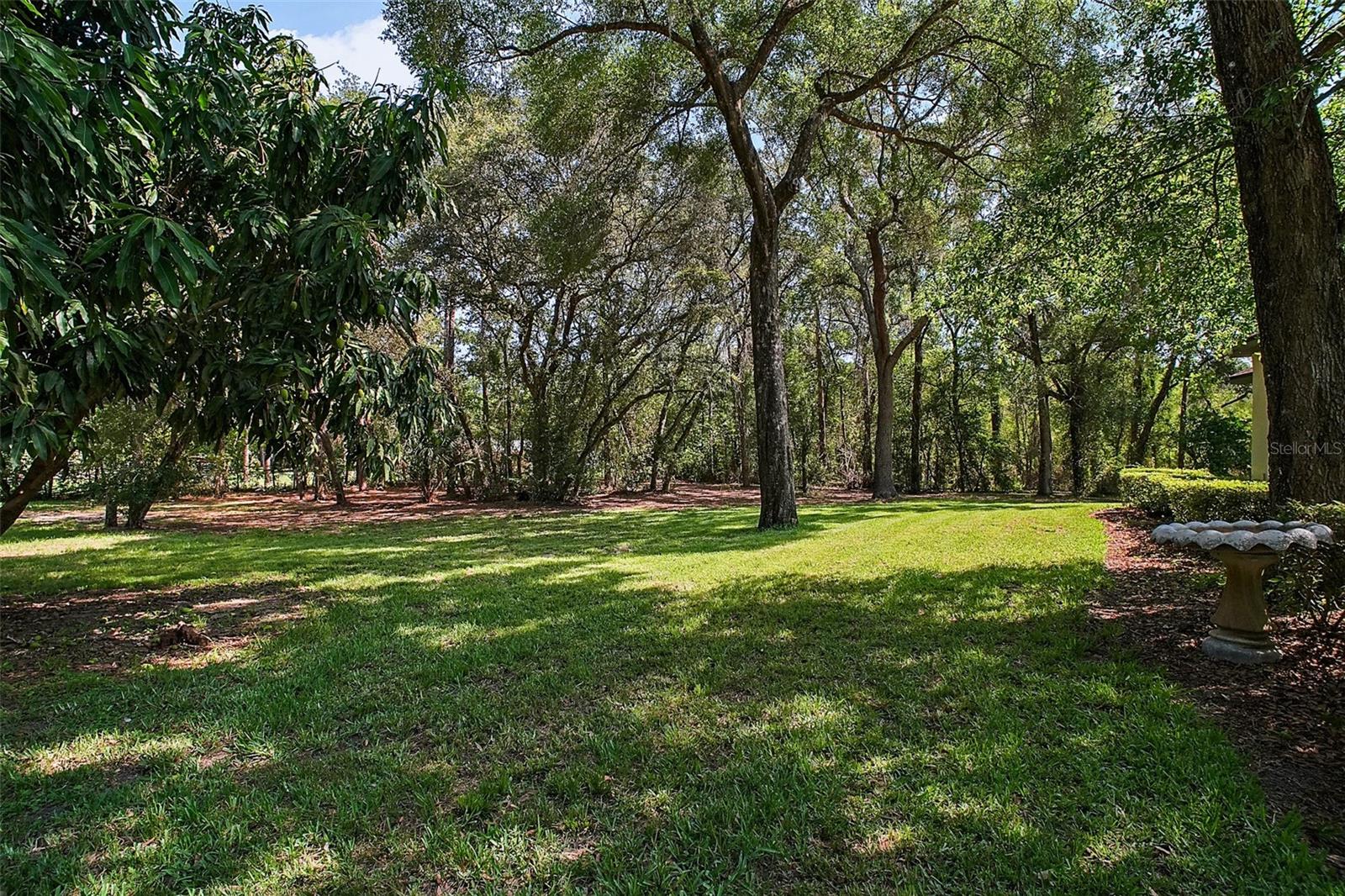 35350 COUNTY ROAD 439, EUSTIS, FL — photo 80