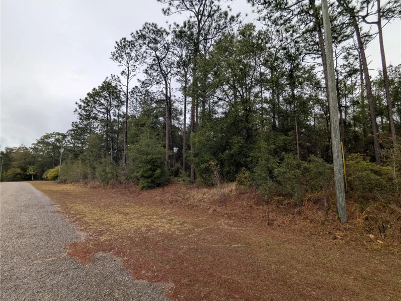 2737 W BLINK DR, CITRUS SPRINGS, FL