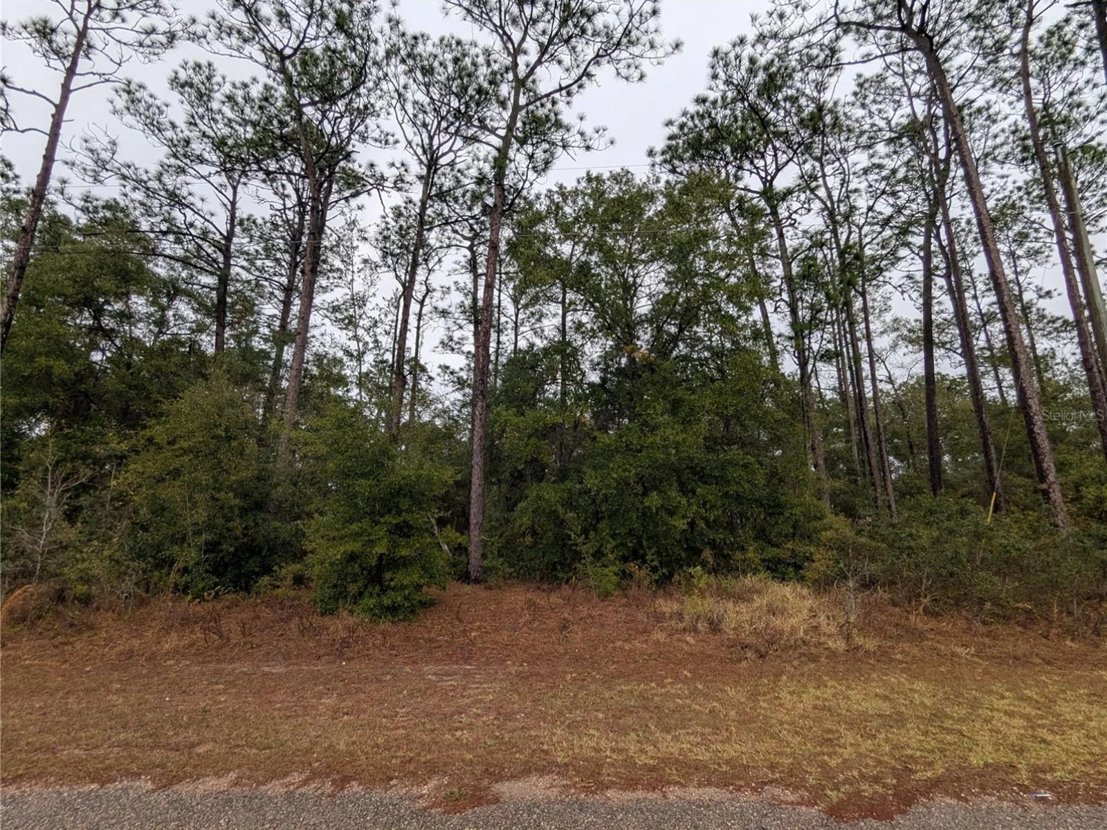 2737 W BLINK DR, CITRUS SPRINGS, FL — photo 2