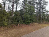 2737 W BLINK DR — photo 3