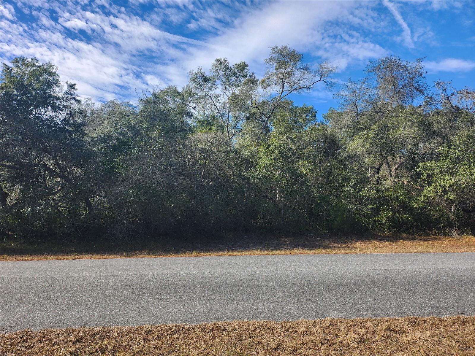 TBD SW 29 TERRACE RD, OCALA, FL — photo 2