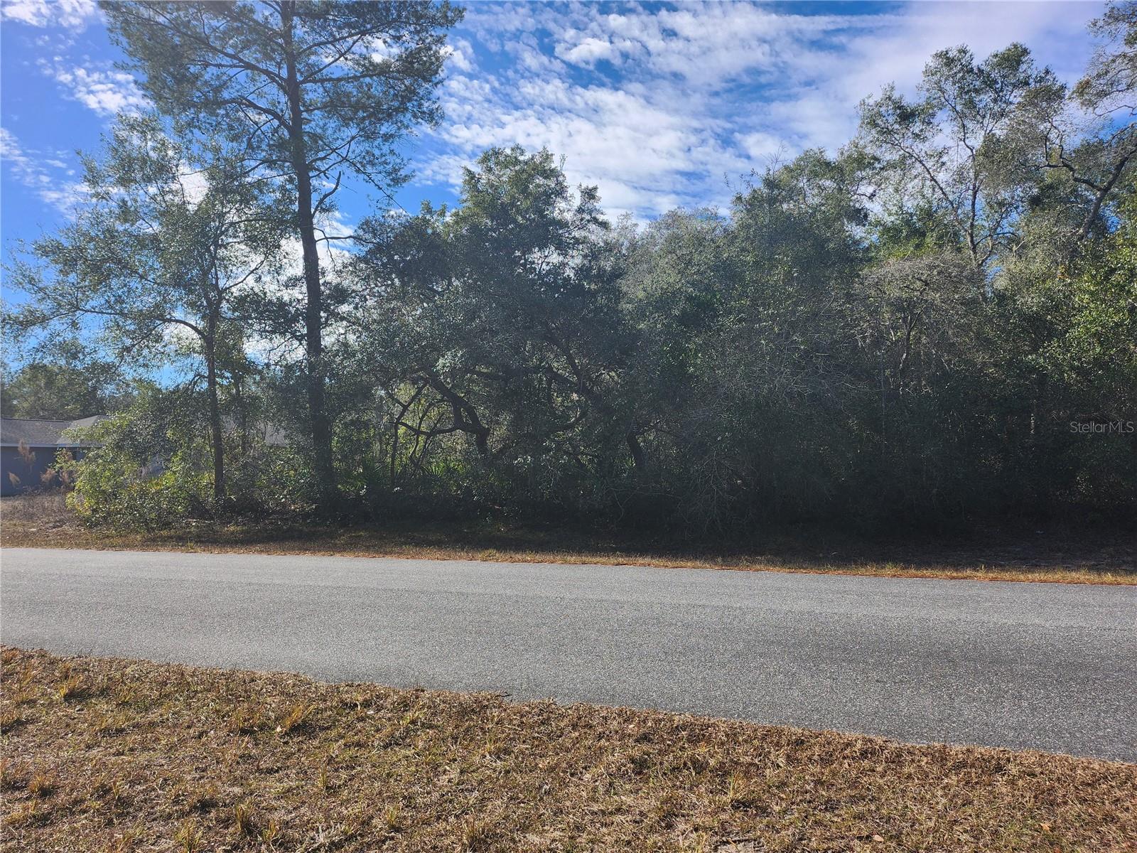 TBD SW 29 TERRACE RD, OCALA, FL — photo 4