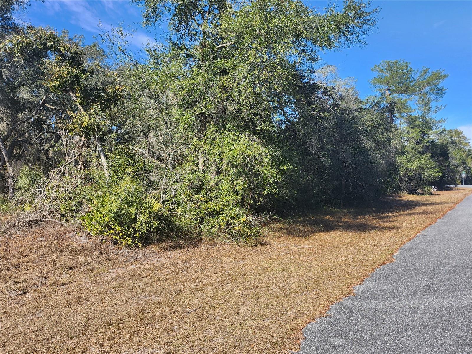 TBD SW 29 TERRACE RD, OCALA, FL — photo 7