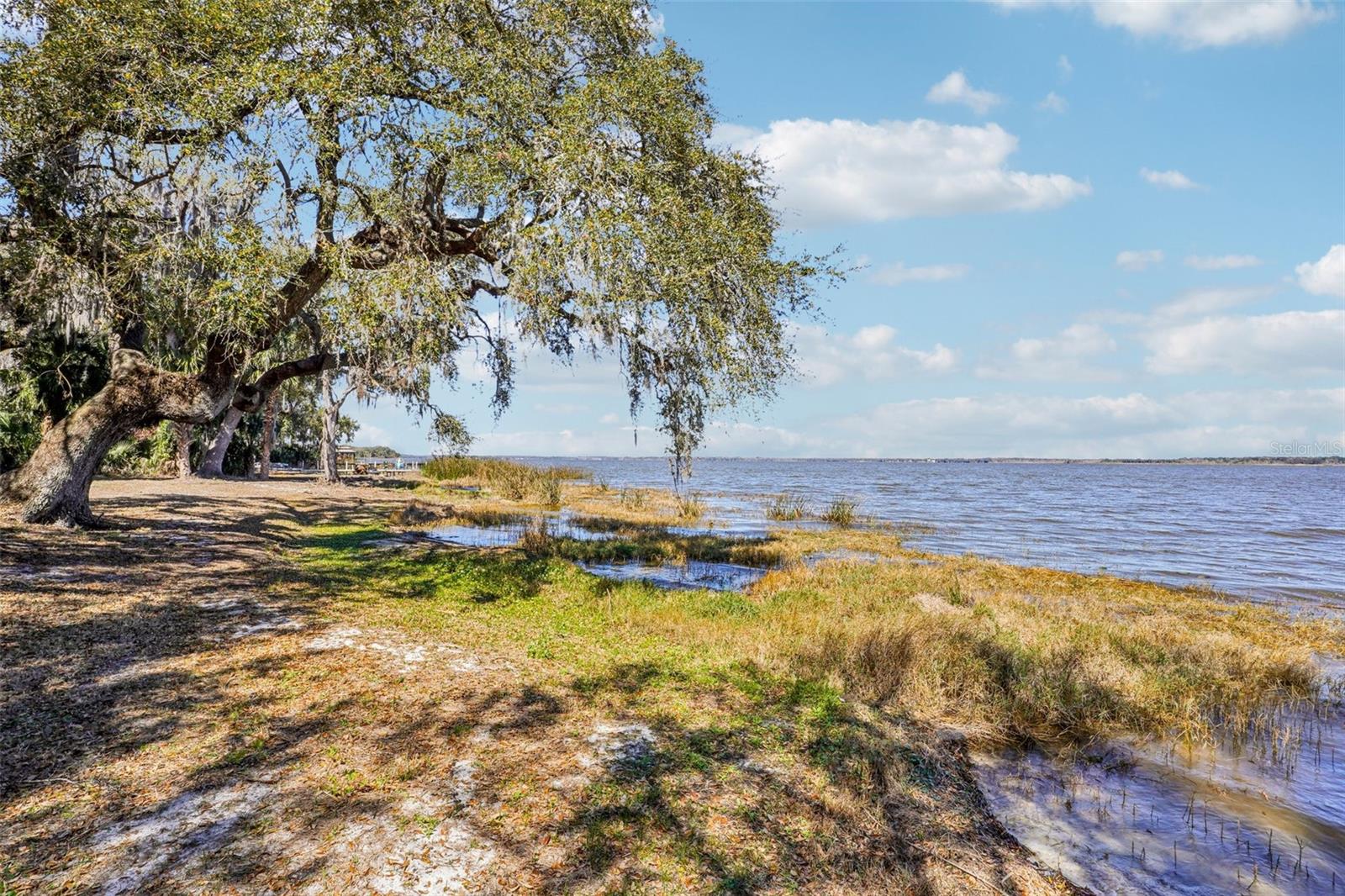 37048 COUNTY ROAD 452, GRAND ISLAND, FL — photo 118