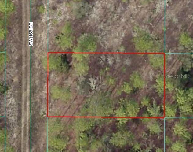 SW 158 CT, OCALA, FL