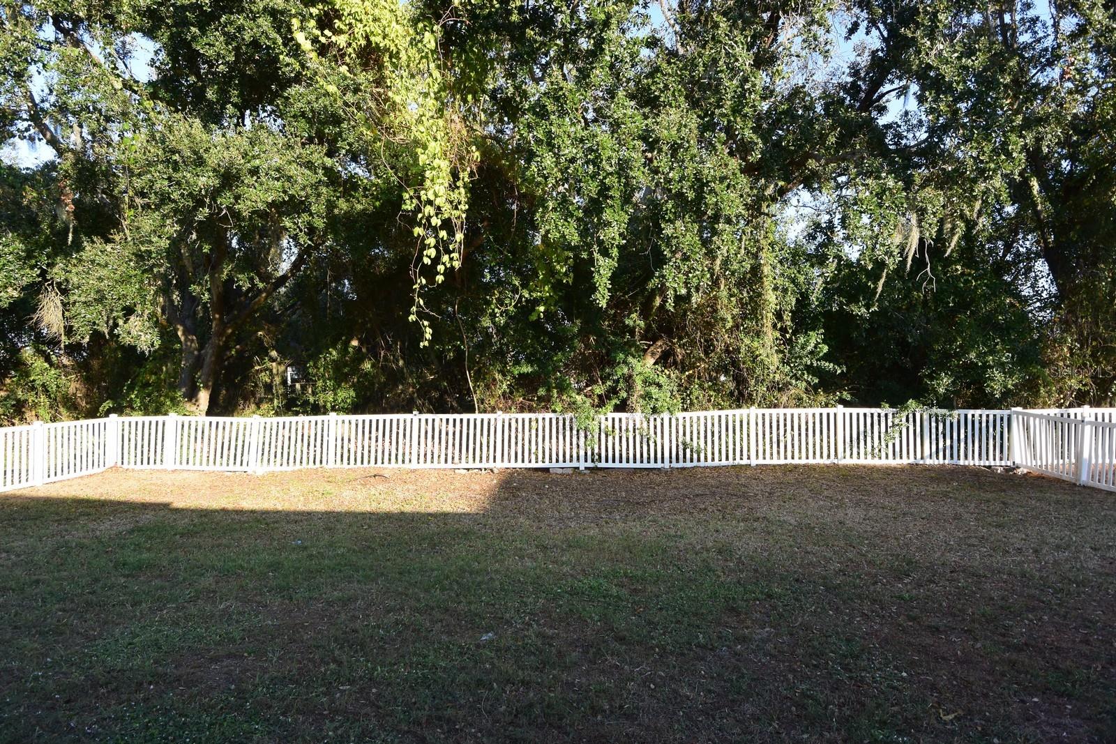 11454 WALDEN LOOP, PARRISH, FL — photo 46
