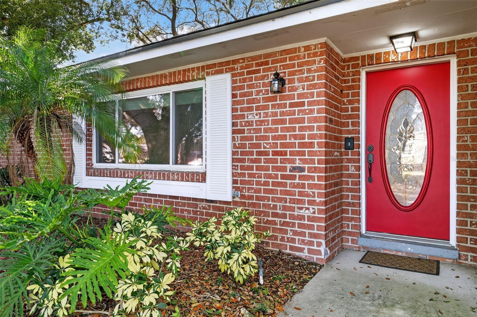 3450 LAUREL DR, MOUNT DORA, FL — photo 4