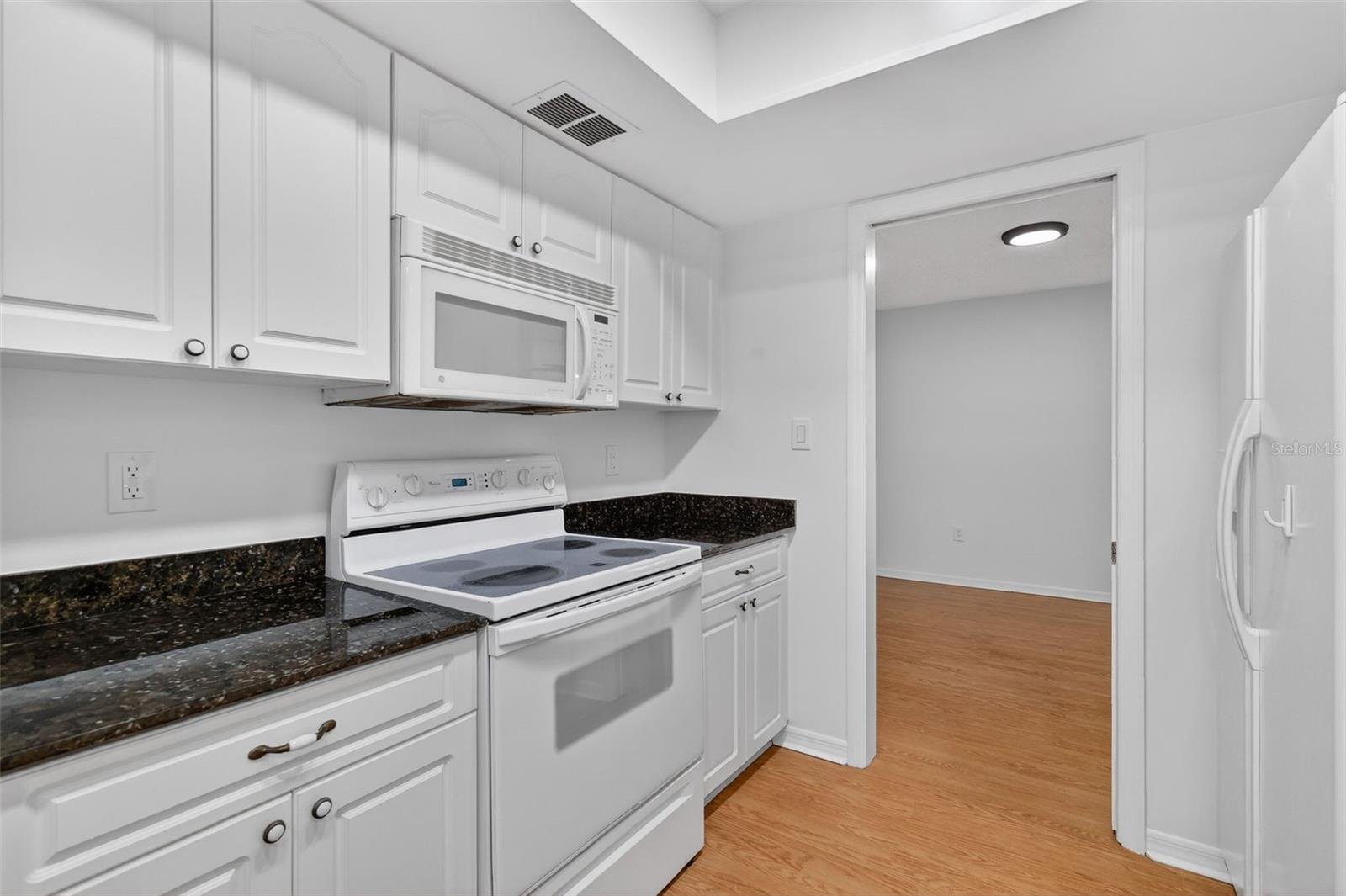 3450 LAUREL DR, MOUNT DORA, FL — photo 16