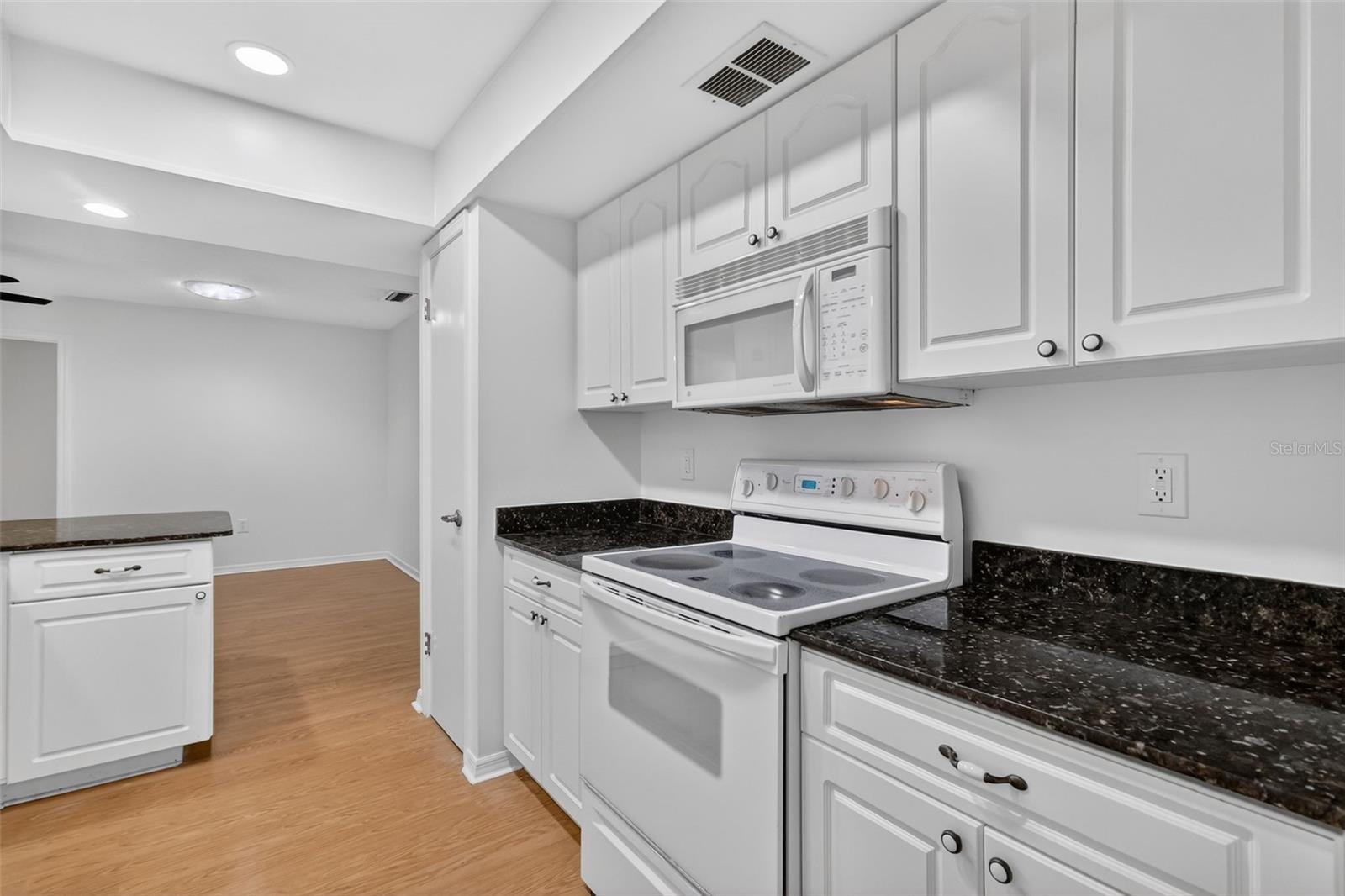 3450 LAUREL DR, MOUNT DORA, FL — photo 19