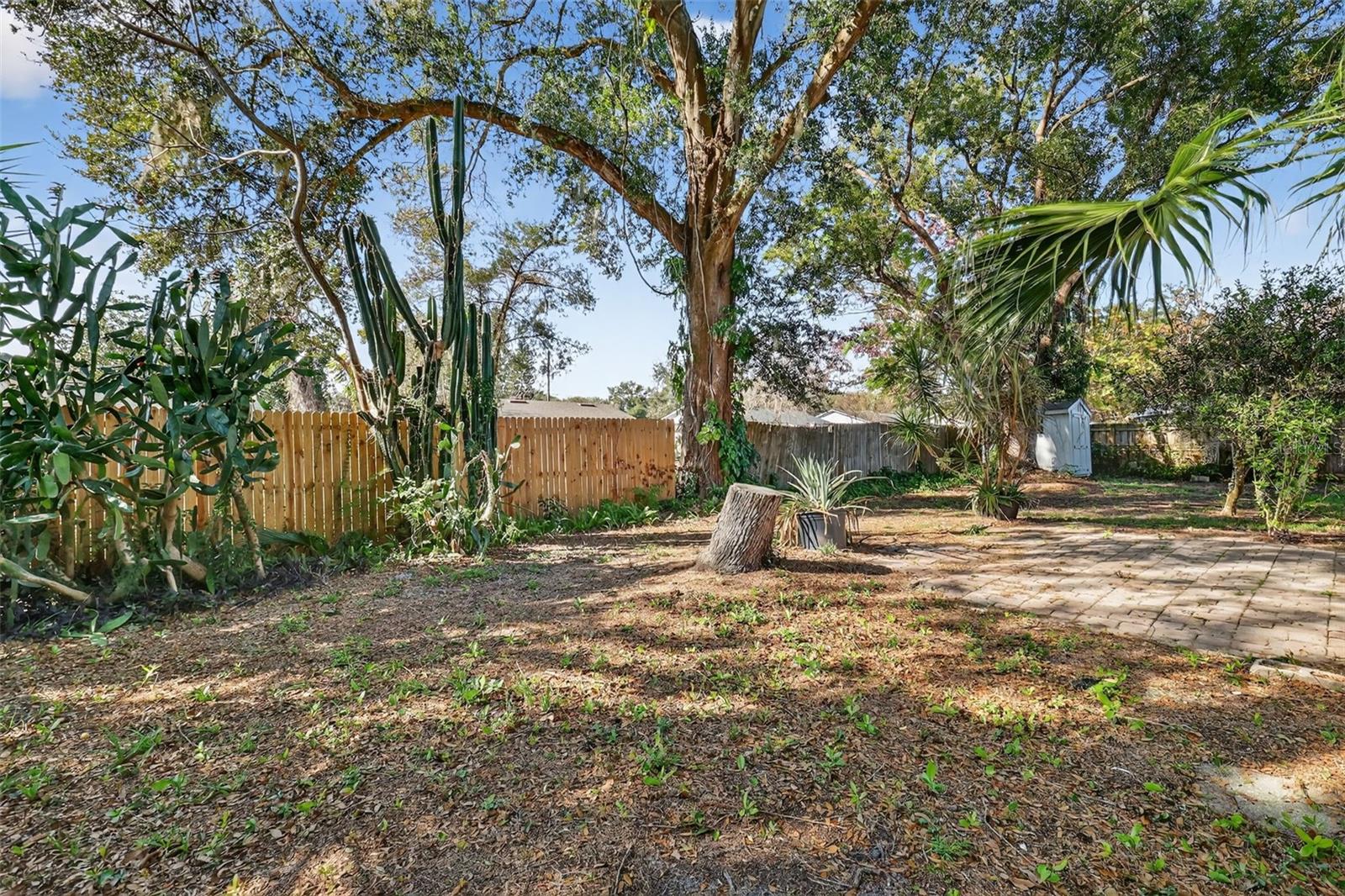 3450 LAUREL DR, MOUNT DORA, FL — photo 49