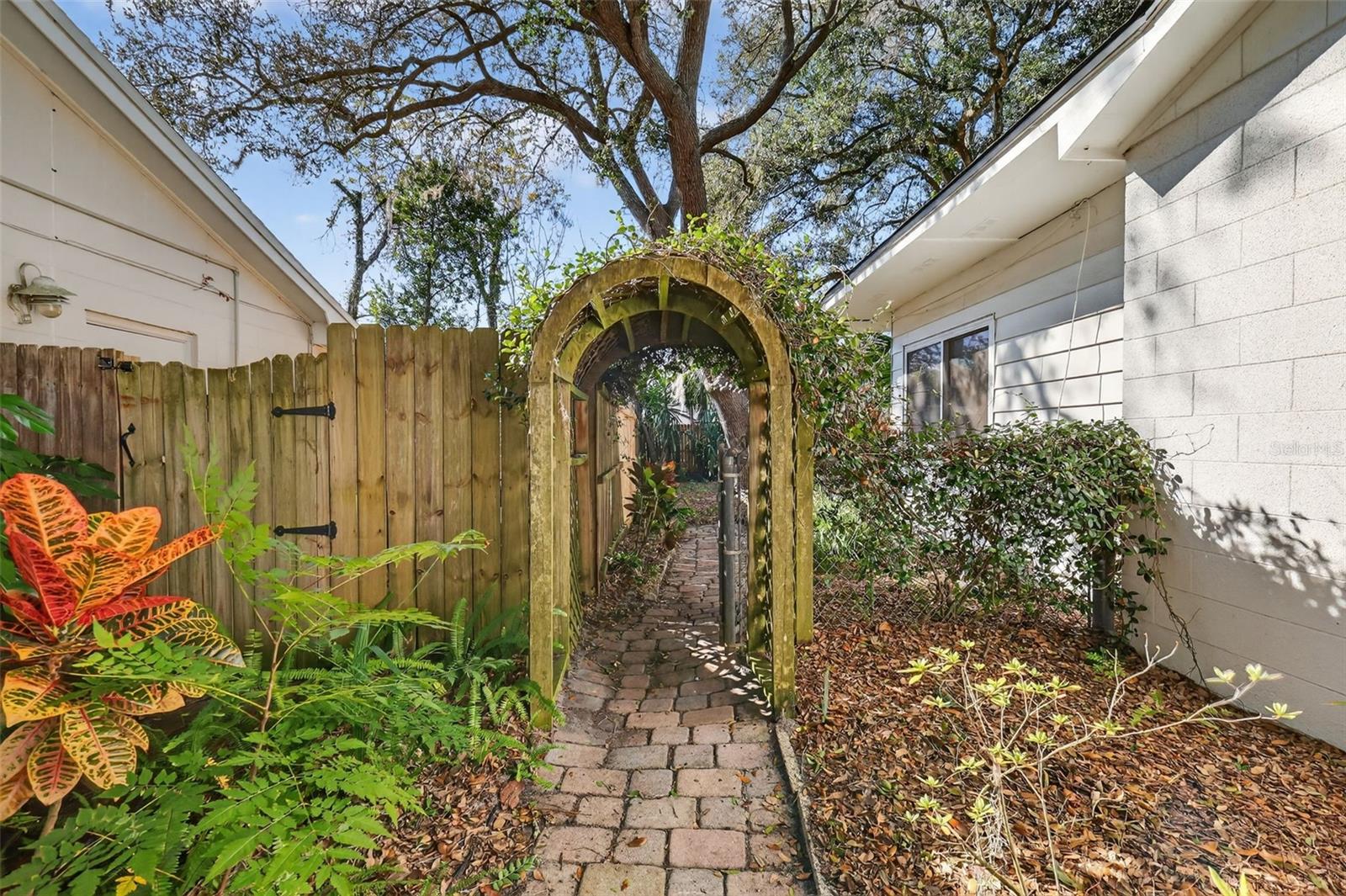 3450 LAUREL DR, MOUNT DORA, FL — photo 51