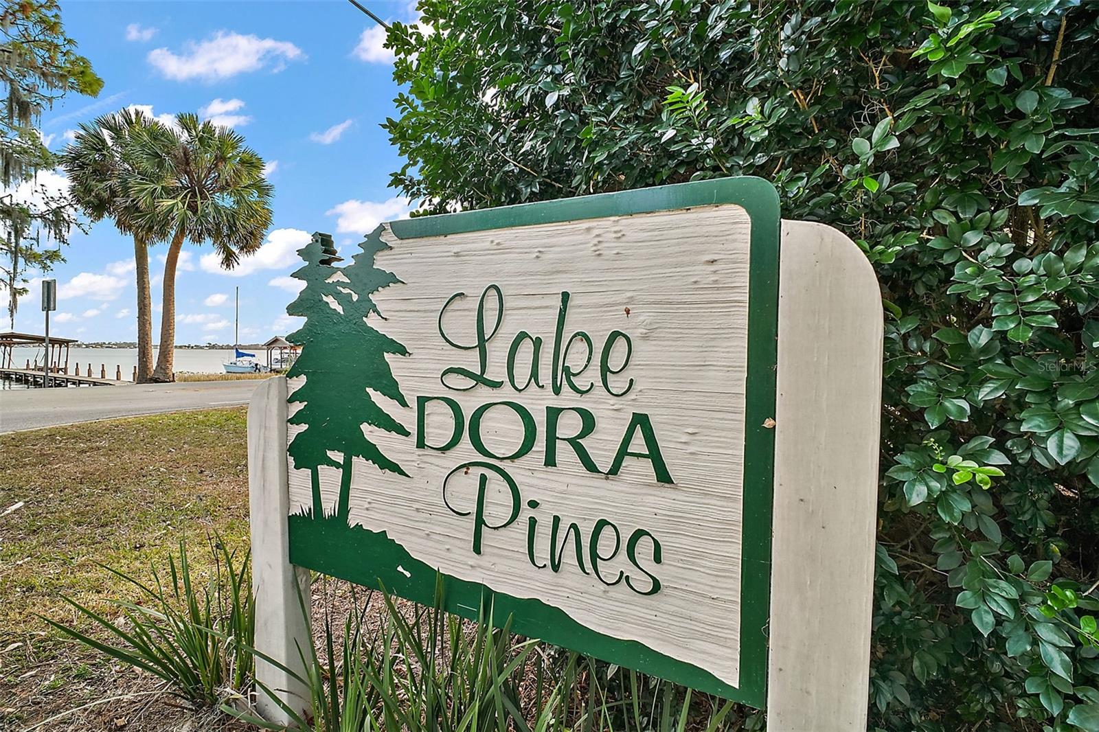 3450 LAUREL DR, MOUNT DORA, FL — photo 71