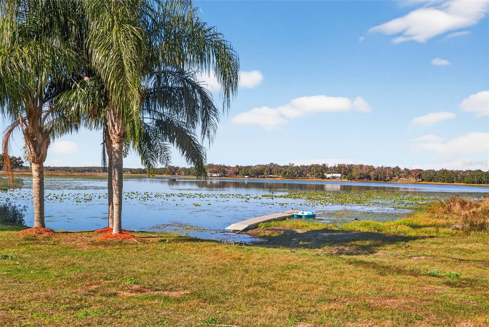 36649 COVINGTON RD, DADE CITY, FL — photo 4