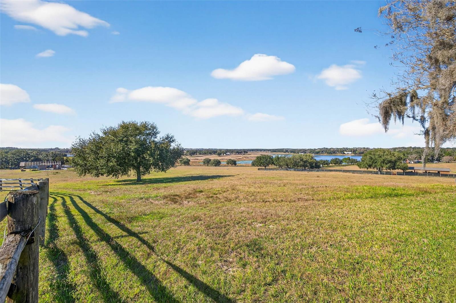 36649 COVINGTON RD, DADE CITY, FL — photo 50