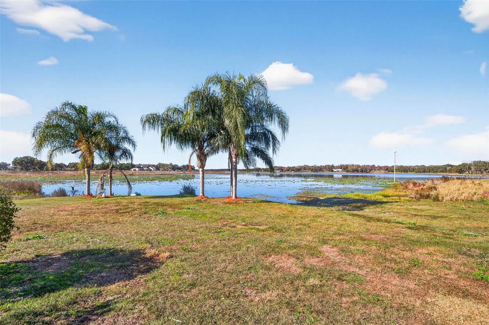 36649 COVINGTON RD, DADE CITY, FL — photo 53