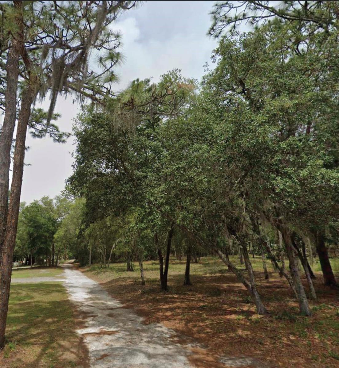 1163 E CANVAS LN, HERNANDO, FL