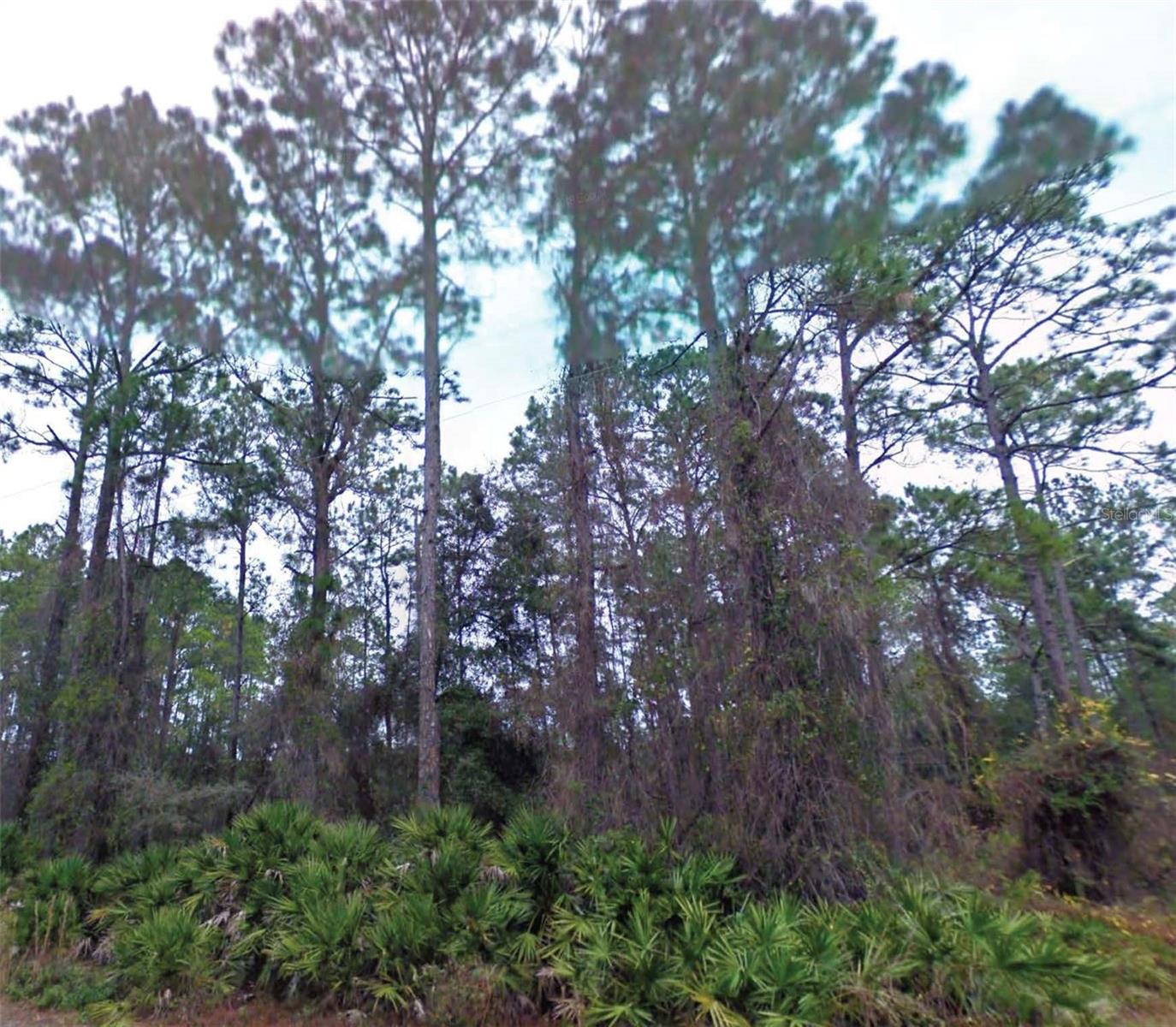 NE 66TH AVE, CITRA, FL