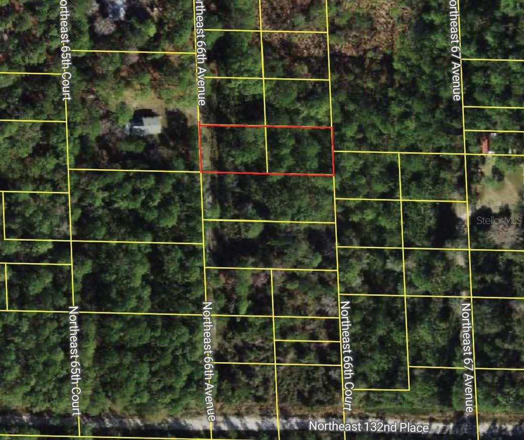 NE 66TH AVE, CITRA, FL — photo 2