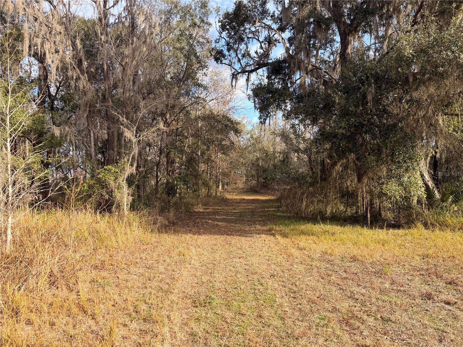 765 SLOANS RIDGE RD, GROVELAND, FL — photo 111