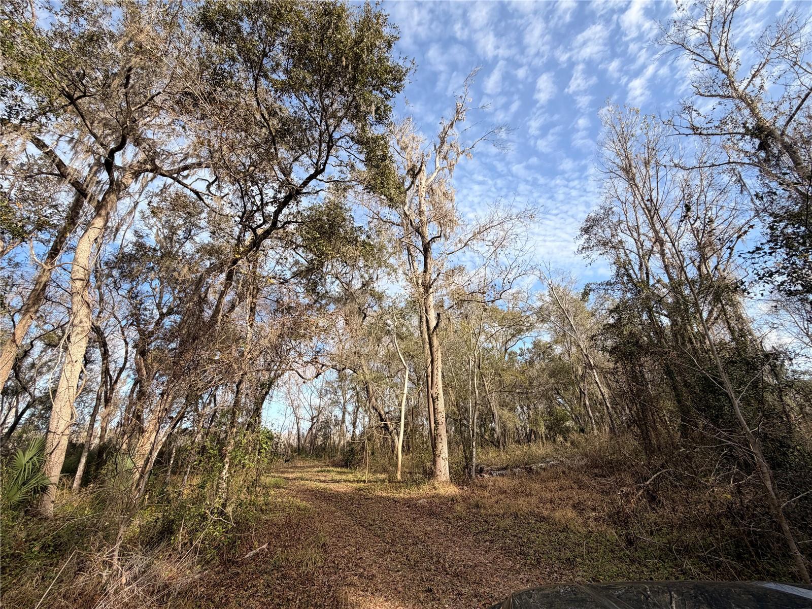 765 SLOANS RIDGE RD, GROVELAND, FL — photo 114