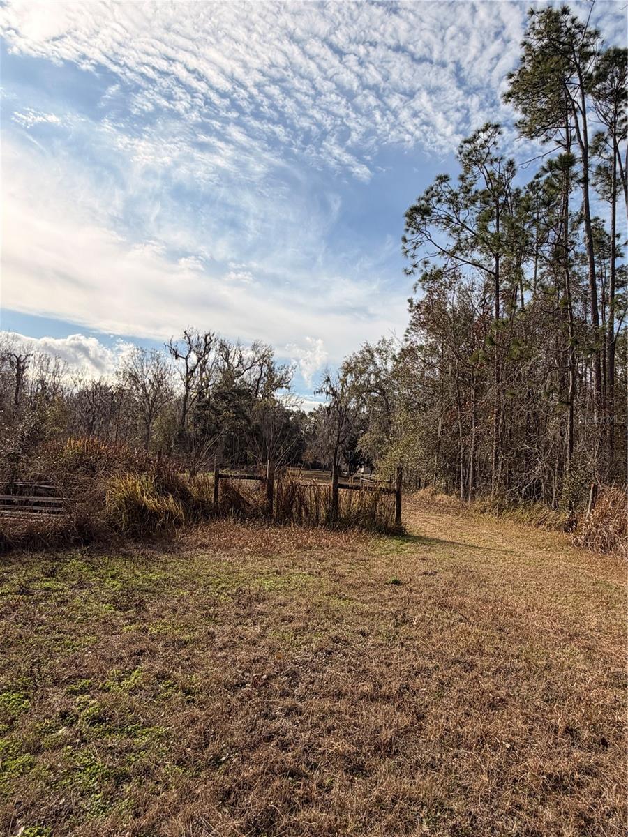 765 SLOANS RIDGE RD, GROVELAND, FL — photo 116
