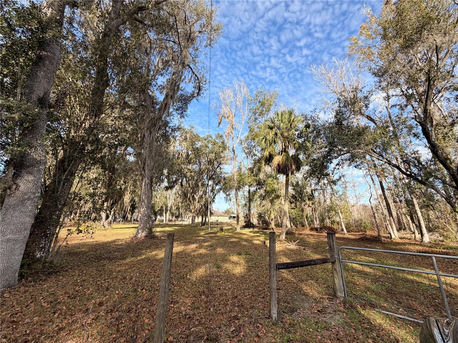765 SLOANS RIDGE RD, GROVELAND, FL — photo 124