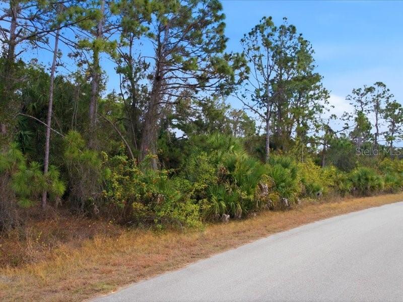 1126207439 BARCELONA DR, NORTH PORT, FL — photo 8
