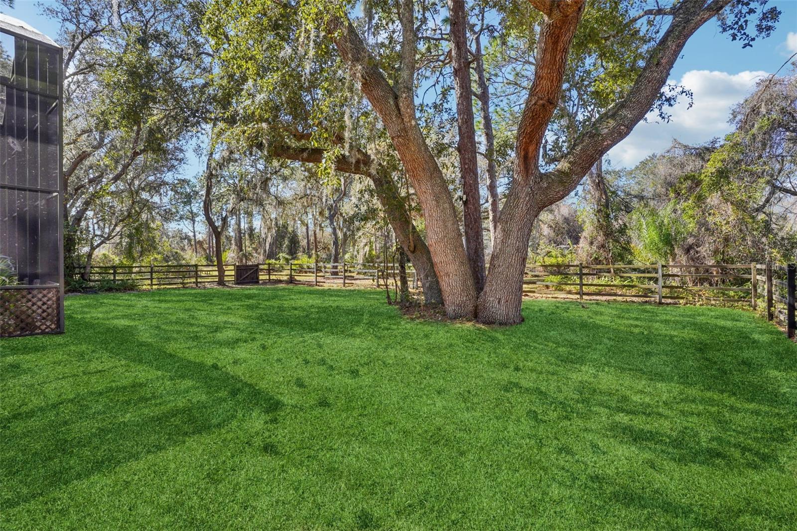 29207 OLD ML W, TAVARES, FL — photo 158
