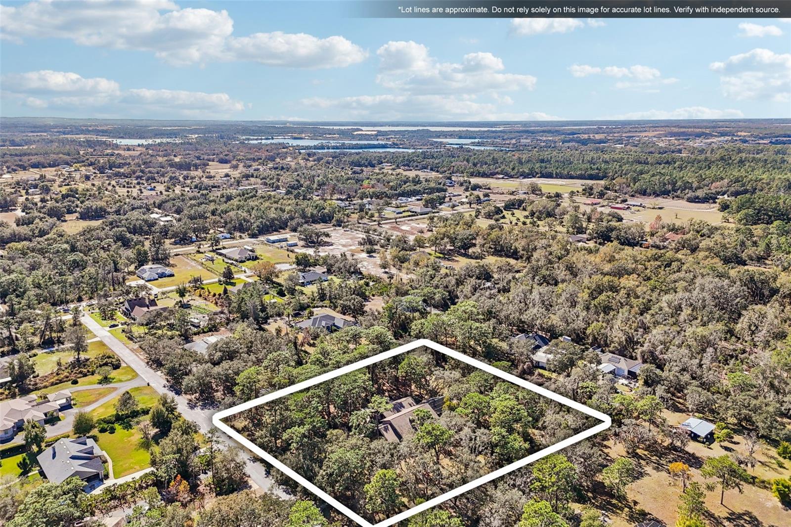 29207 OLD ML W, TAVARES, FL — photo 165