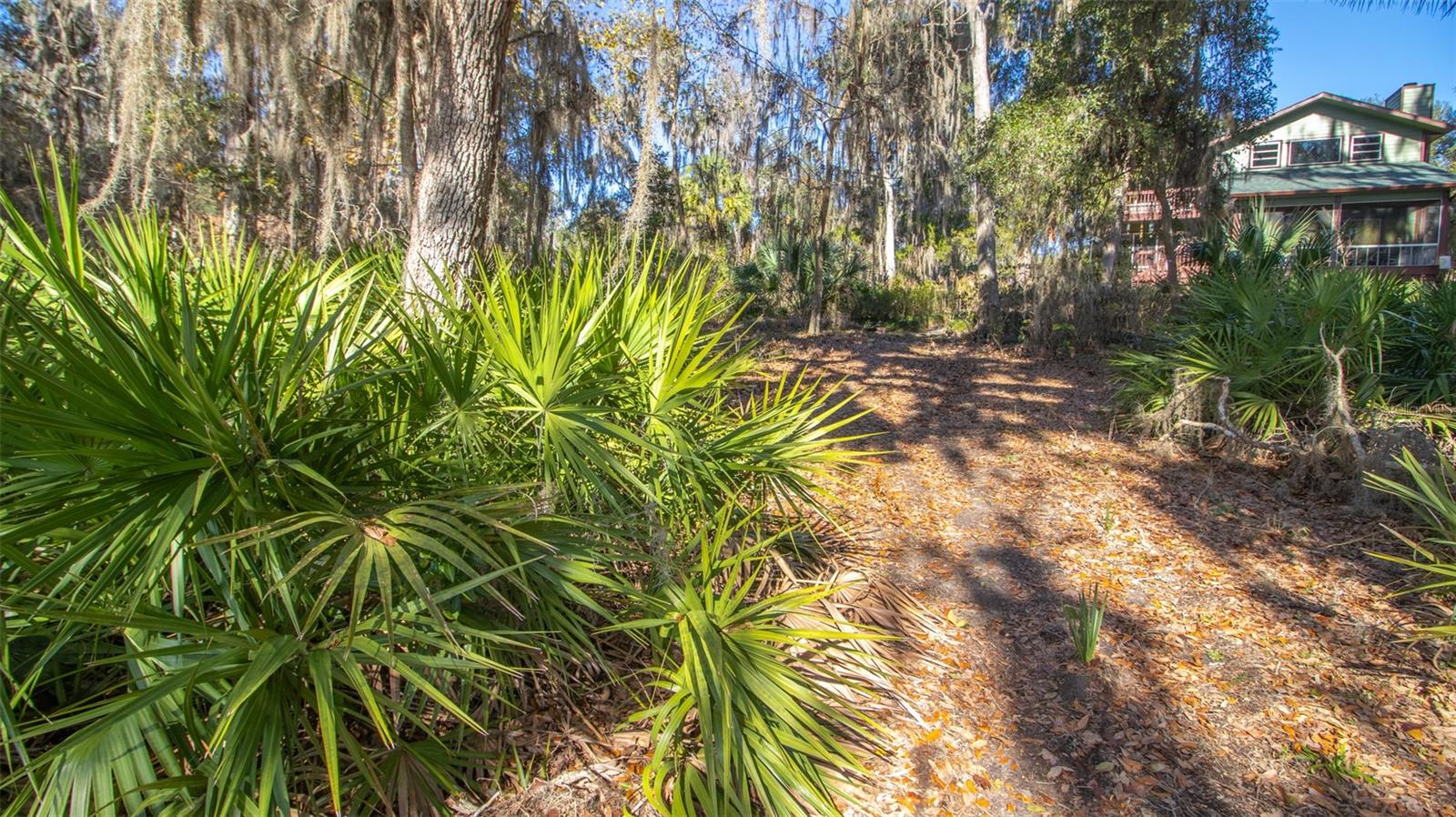 243 HERMAN DR, HAWTHORNE, FL — photo 49