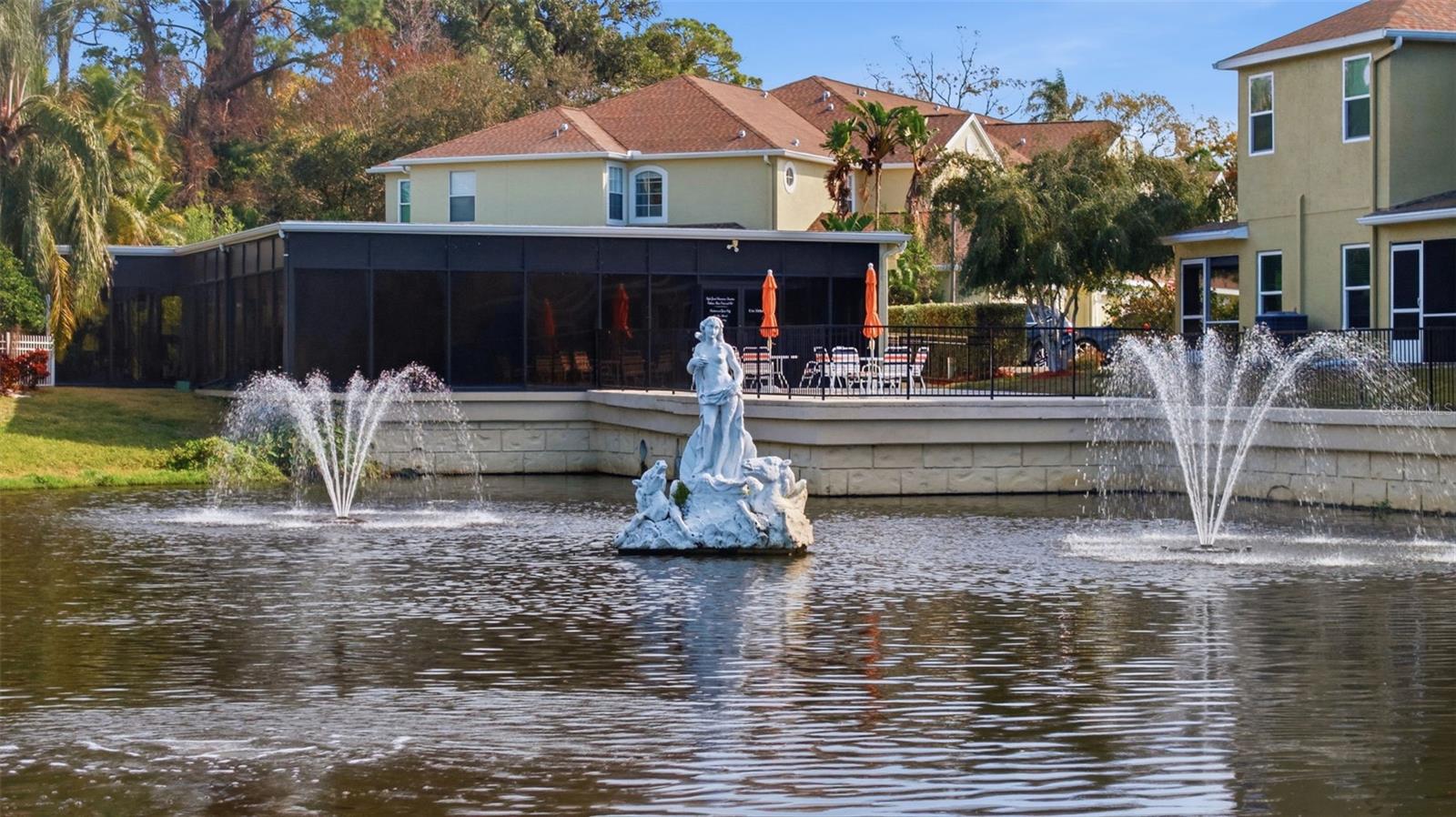 11125 KAPOK GRAND CIR, MADEIRA BEACH, FL — photo 47