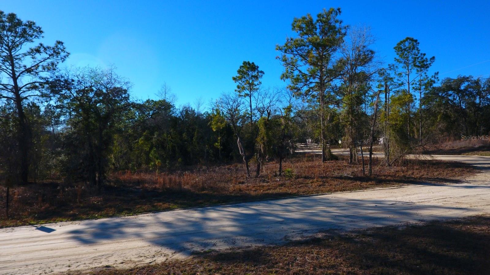 2150 SE 137TH CT, MORRISTON, FL — photo 2