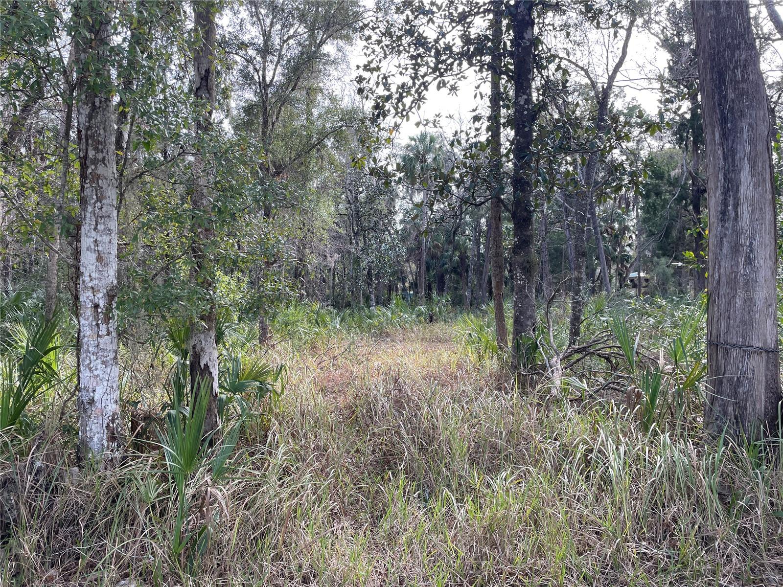 11106 W TOWNSEND LN, HOMOSASSA, FL